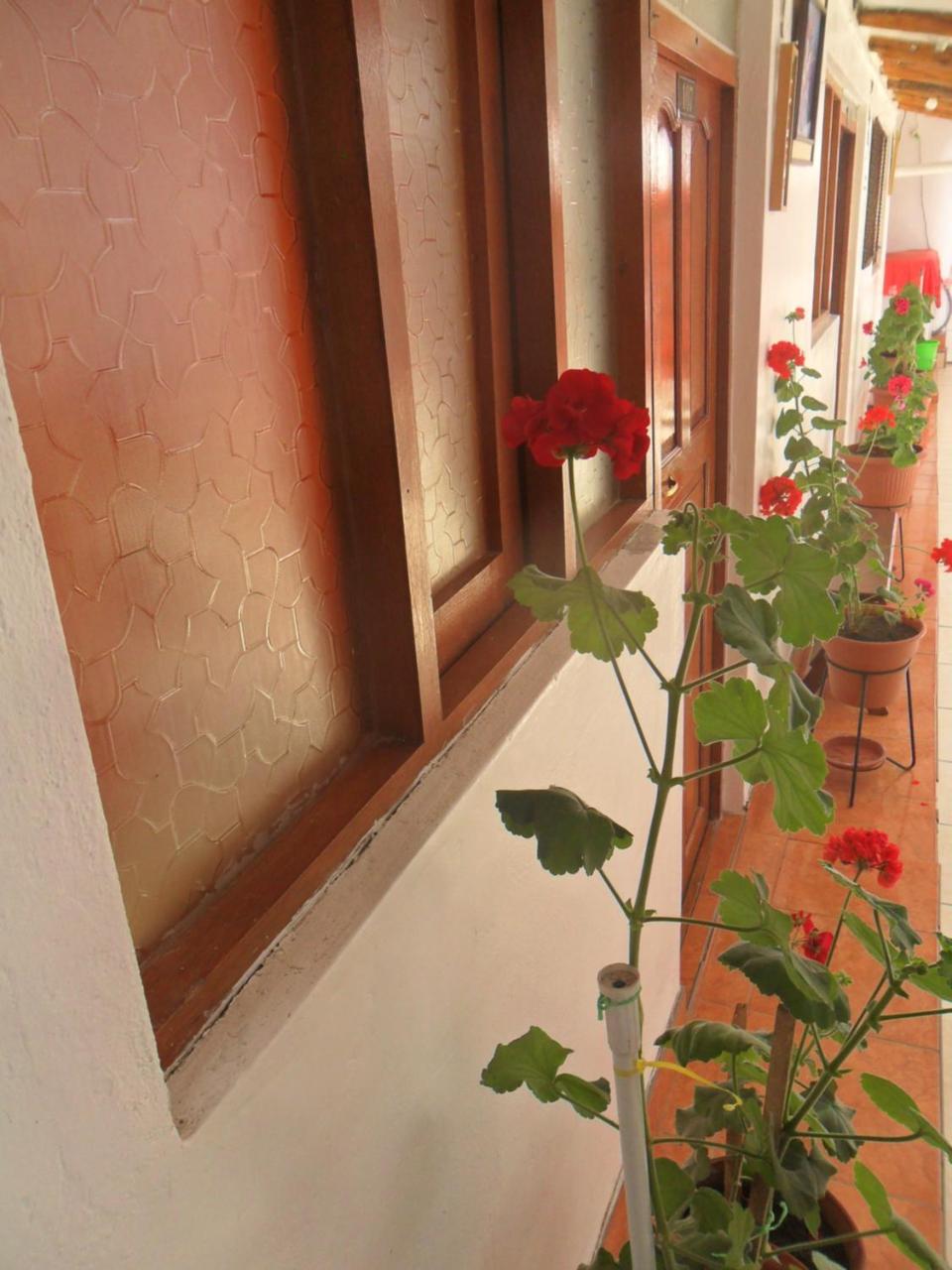 Casa 7 Cusco Hotel Luaran gambar